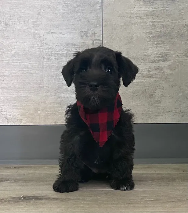 Lindquist Veterinary Care Center Picture 4