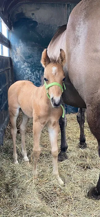 Lindquist Veterinary Care Center Picture 3
