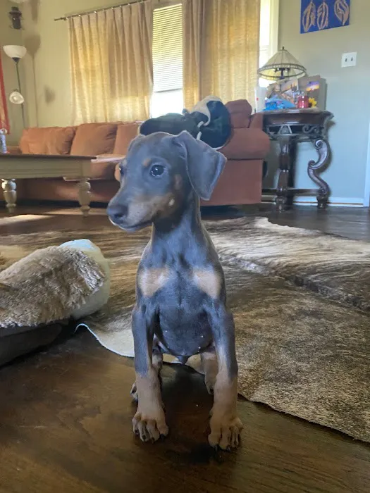 Lindquist Veterinary Care Center Picture 2