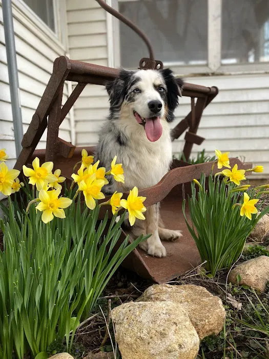 Lindquist Veterinary Care Center Picture 6