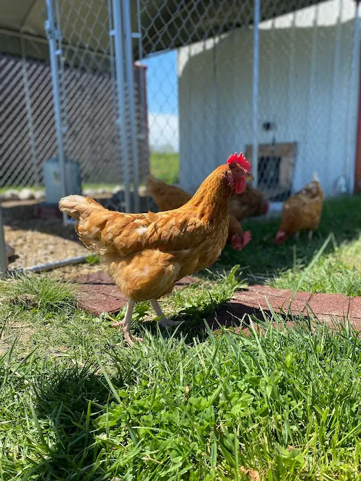 Lindquist Veterinary Care Center Picture 9