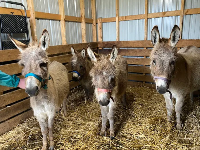 Lindquist Veterinary Care Center Picture 10