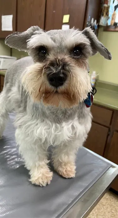 Kirksville Small Animal Hospital Picture 2