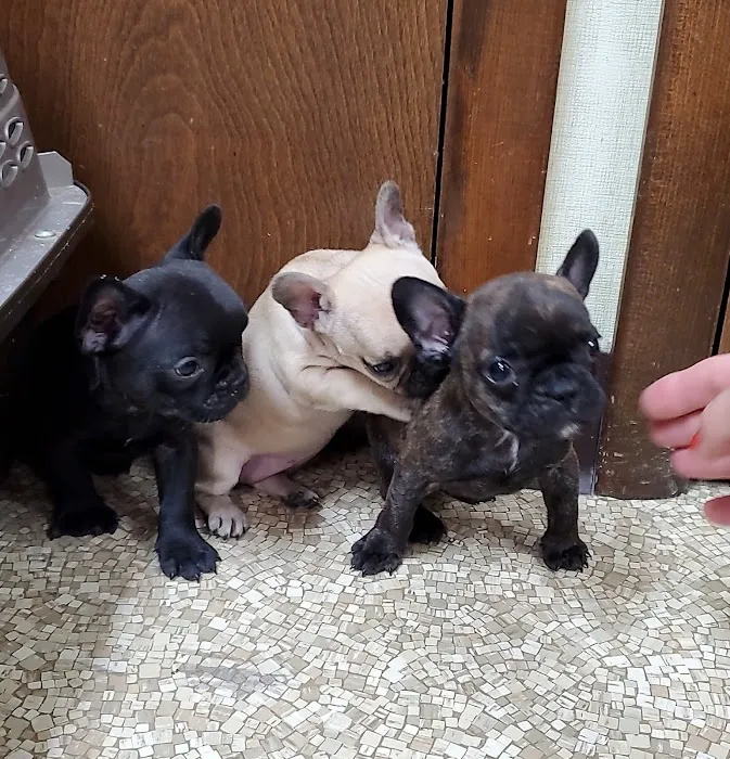 Kirksville Small Animal Hospital Picture 9