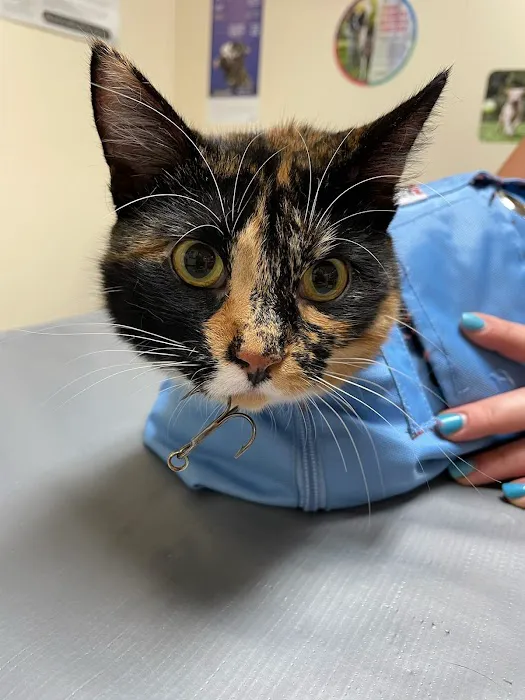 Kirksville Small Animal Hospital Picture 8