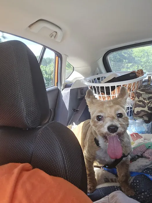 LaPlata Veterinary Clinic Picture 1