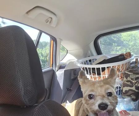 LaPlata Veterinary Clinic