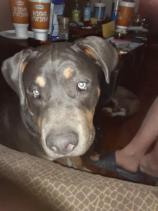 Fairfield Veterinary Hospital Picture 3