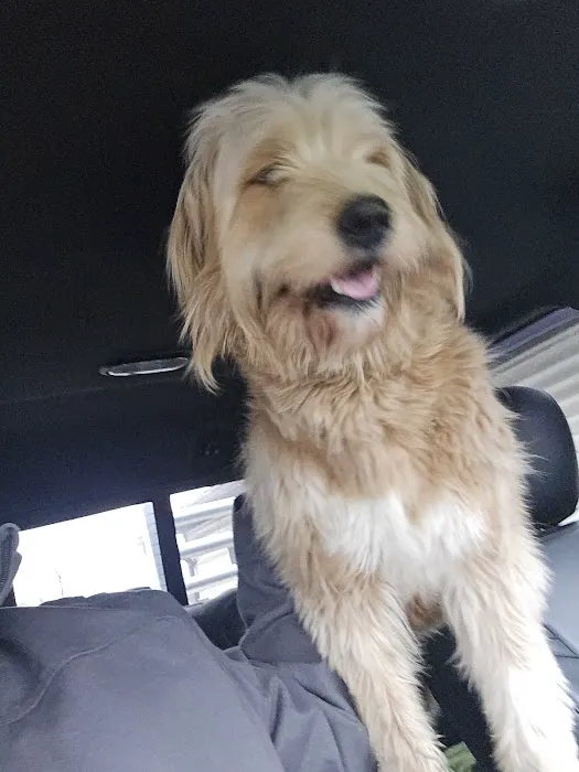 Fairfield Veterinary Hospital Picture 2