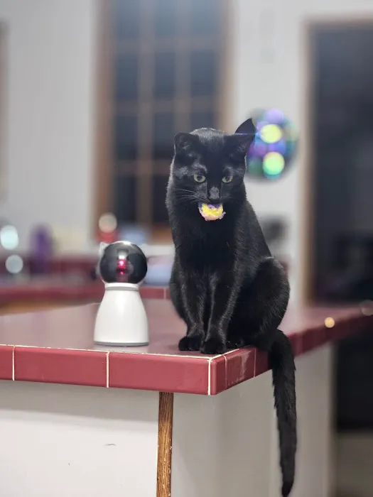 Crestview Veterinary Hospital Picture 10