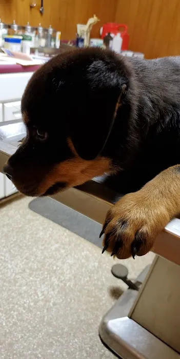 Crestview Veterinary Hospital Picture 9