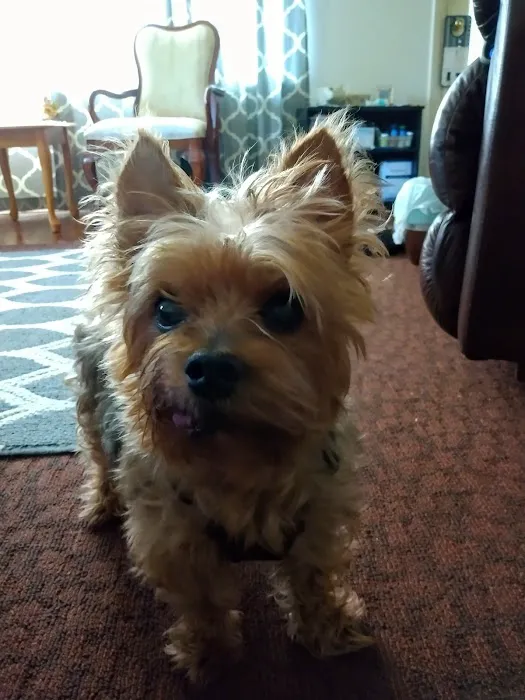 Wayne County Veterinary Picture 4