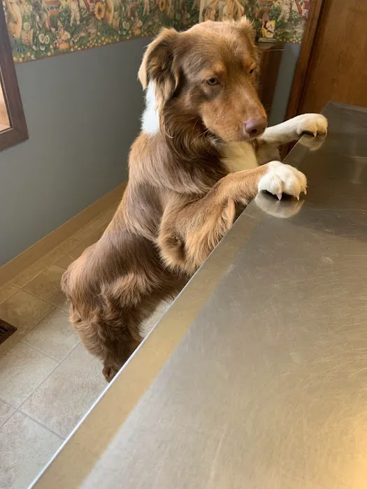 Newton Veterinary Clinic Picture 3