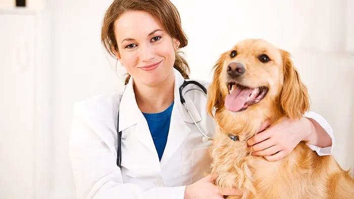 Newton Veterinary Clinic Picture 1