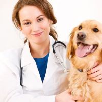 Newton Veterinary Clinic ico