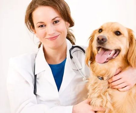 Newton Veterinary Clinic