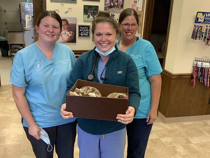 Newton Veterinary Clinic Picture 6