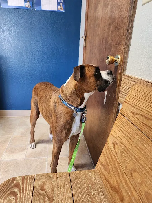 Newton Veterinary Clinic Picture 4