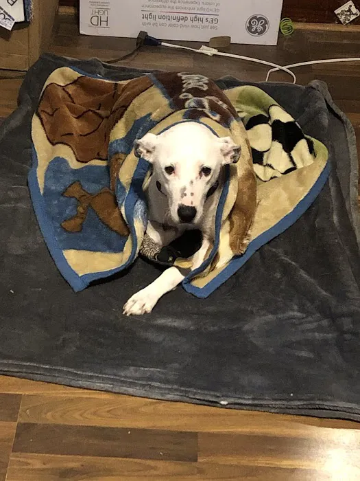 Newton Veterinary Clinic Picture 10