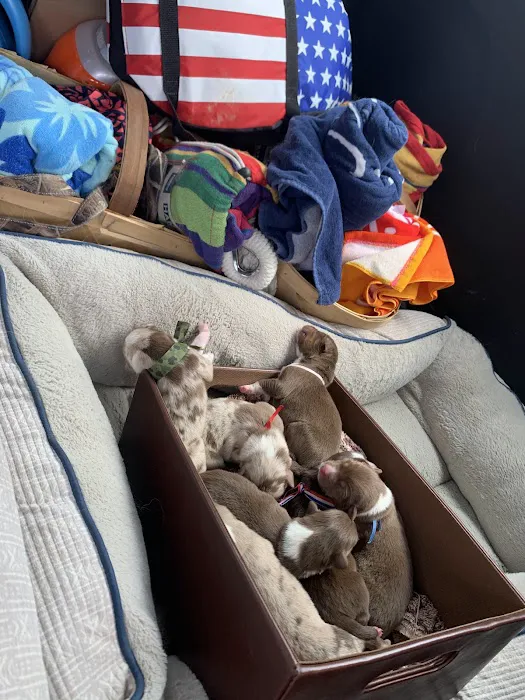 Newton Veterinary Clinic Picture 9