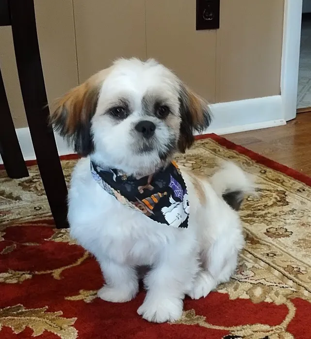 Marion Veterinary Clinic Picture 2