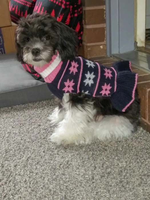 Marion Veterinary Clinic Picture 1