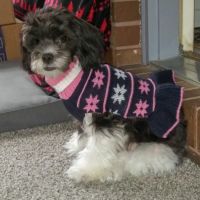 Marion Veterinary Clinic ico