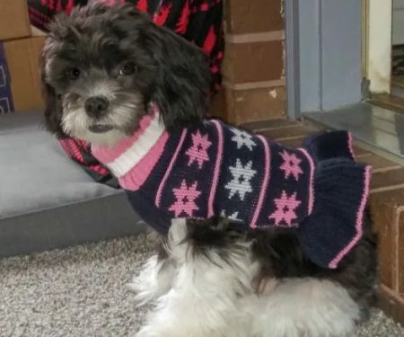 Marion Veterinary Clinic