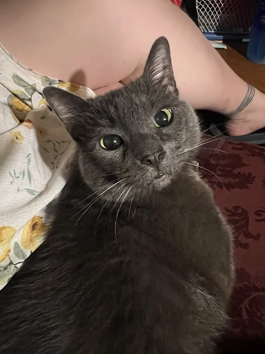 Marion Veterinary Clinic Picture 5