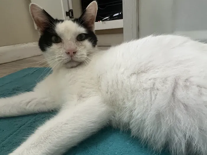 Marion Veterinary Clinic Picture 4