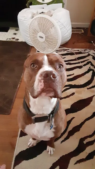 Marion Veterinary Clinic Picture 6