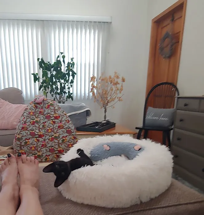 Marion Veterinary Clinic Picture 7