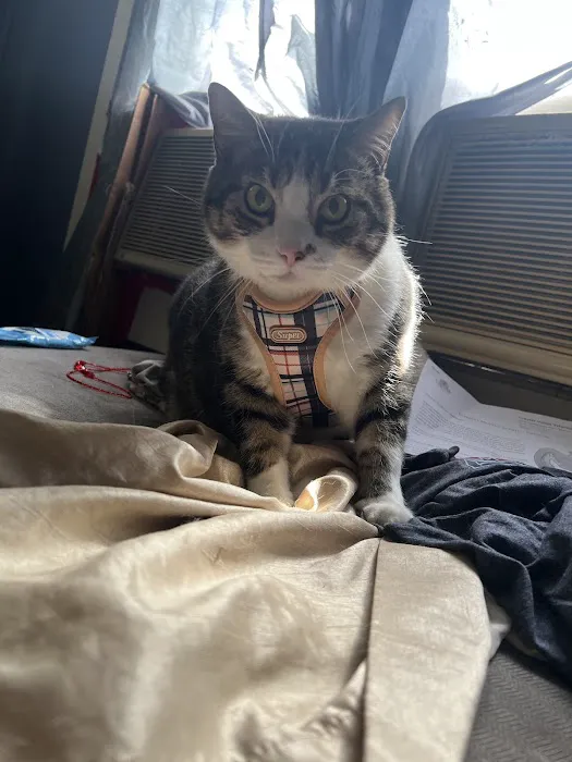 Marion Veterinary Clinic Picture 3