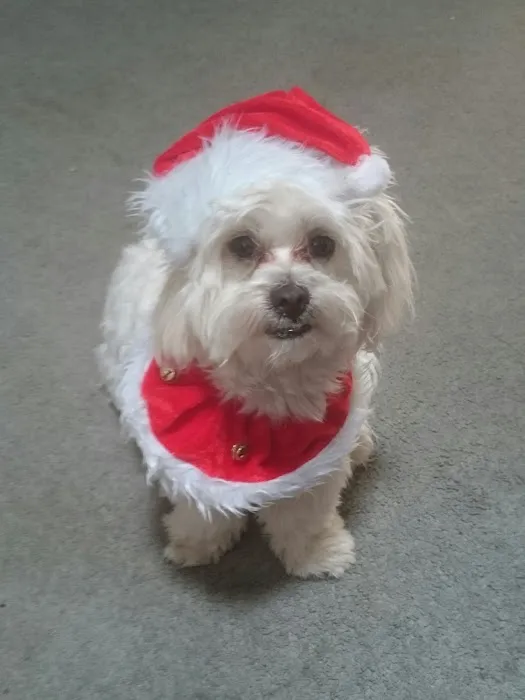 Marion Veterinary Clinic Picture 8