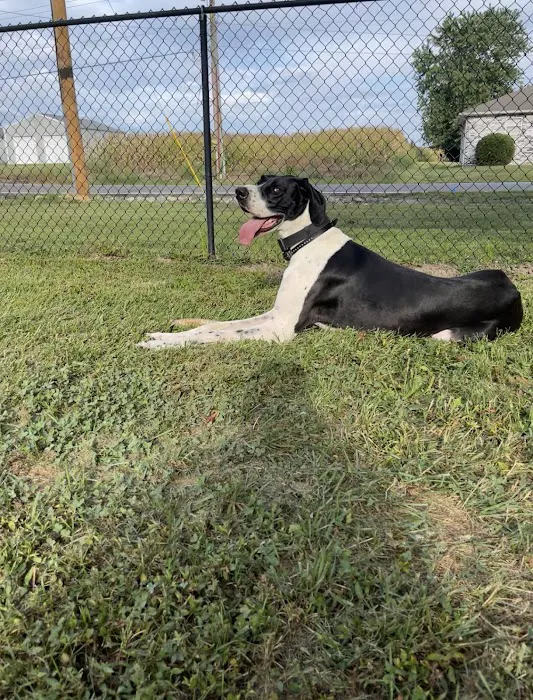 Marion Veterinary Clinic Picture 10