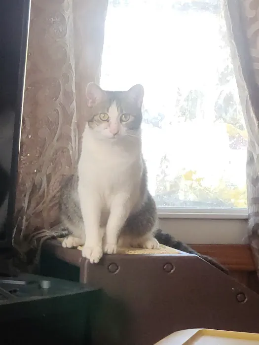 Marion Veterinary Clinic Picture 9