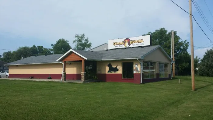 Central Hospital For Animals Picture 10