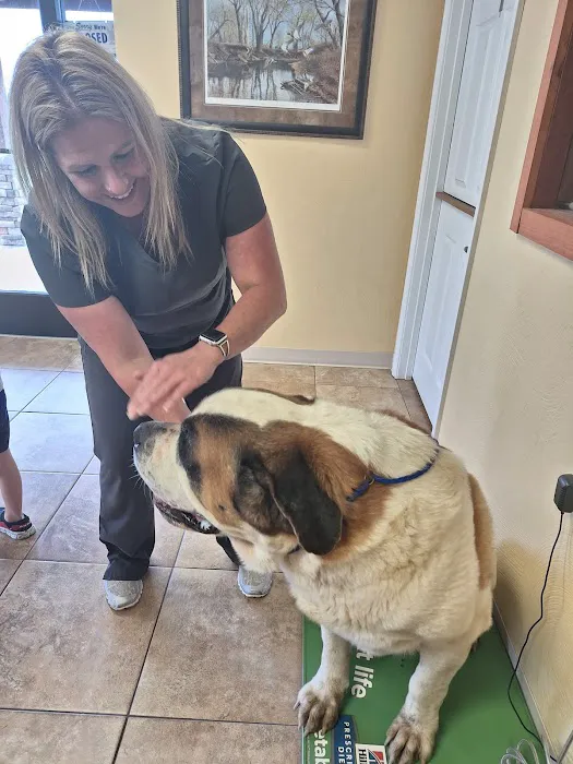 Central Hospital For Animals Picture 9