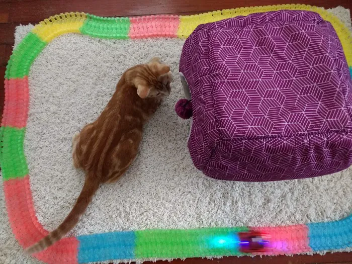 Animal Medical Center Picture 1