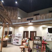 Pet Wellness Center PC ico