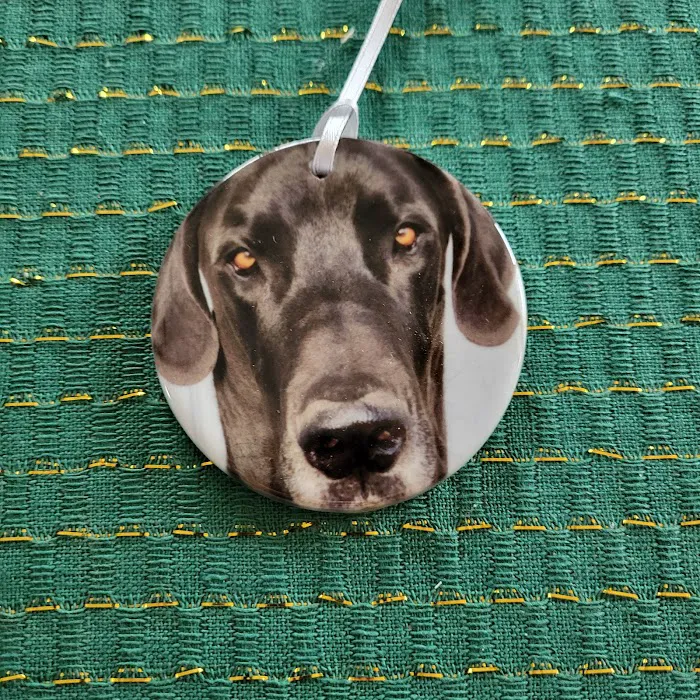 Pet Wellness Center PC Picture 6