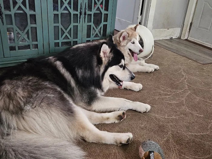 Pet Wellness Center PC Picture 9