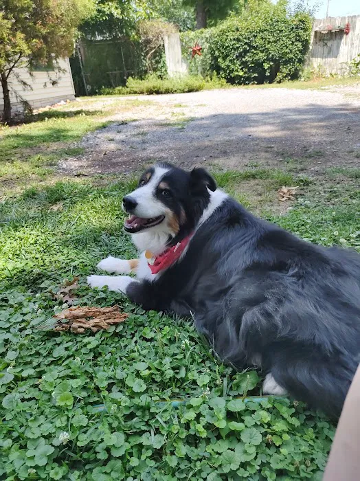 Pet Wellness Center PC Picture 8