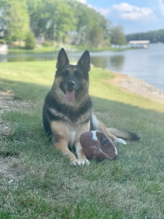 Pet Wellness Center PC Picture 7