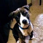 Quality Care Animal Hospital