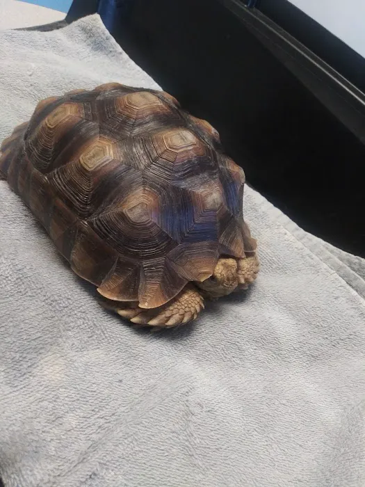 Quality Care Animal Hospital Picture 3