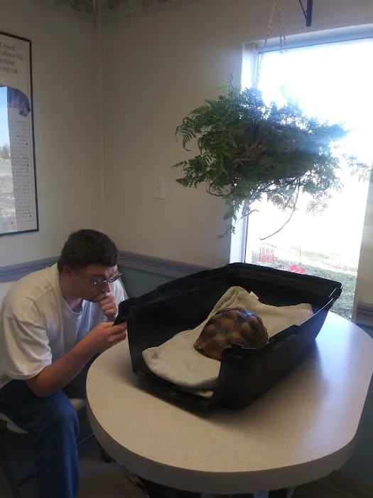 Quality Care Animal Hospital Picture 6