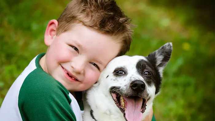 Quality Care Animal Hospital Picture 7