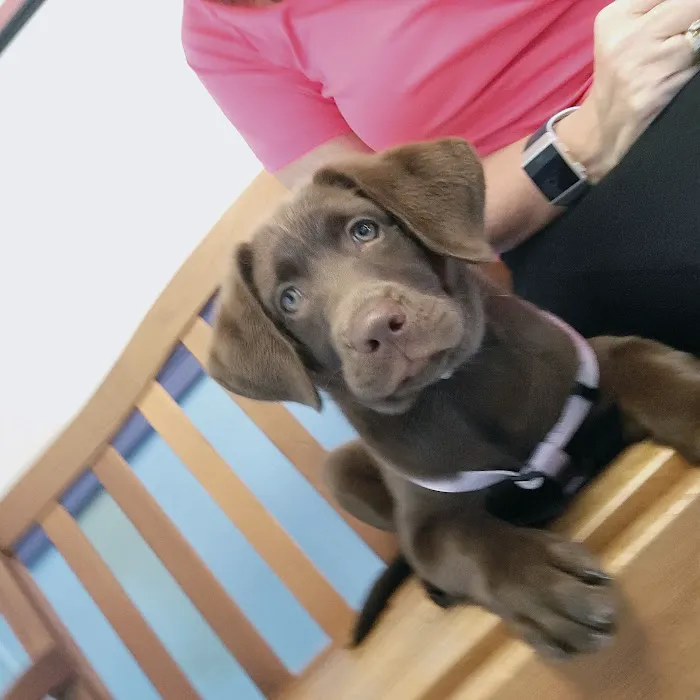 Quality Care Animal Hospital Picture 2