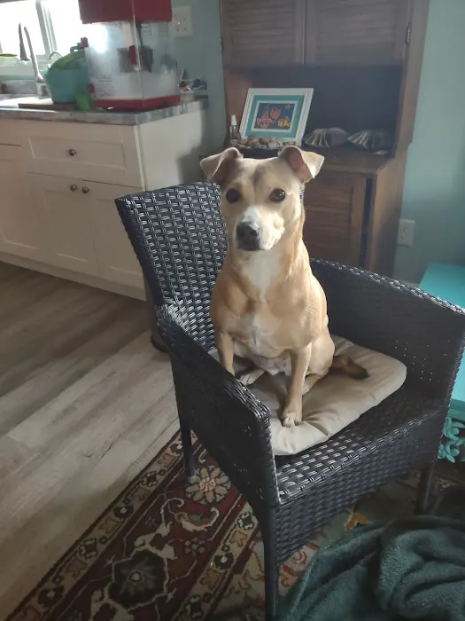 Quality Care Animal Hospital Picture 4